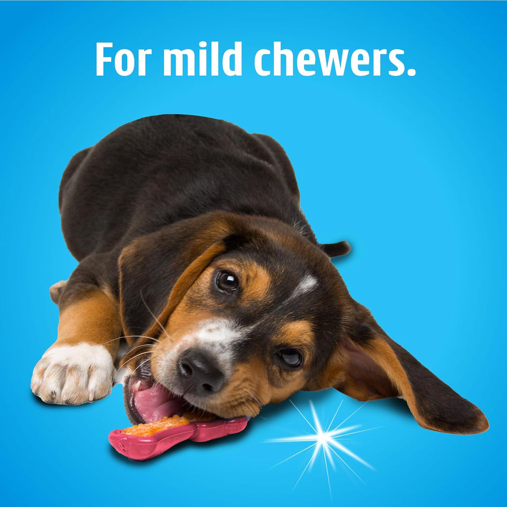 Hartz Chew 'n Clean Dental Duo Dog Treat & Chew Toy, Color Varies, X-Small (Pack of 48)