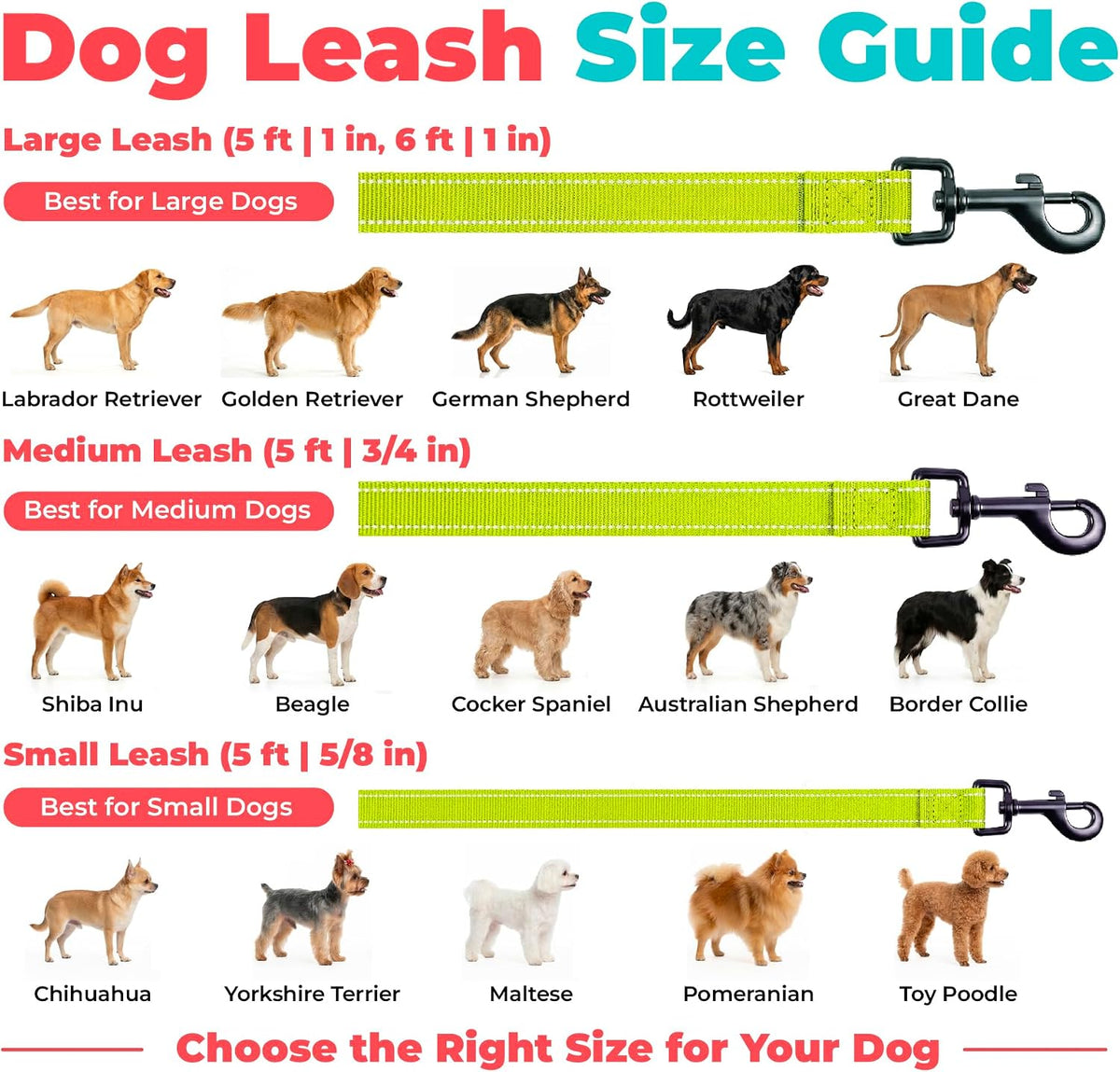 Best Pet Supplies Voyager Nylon Dog Leash - Lime Green, Small