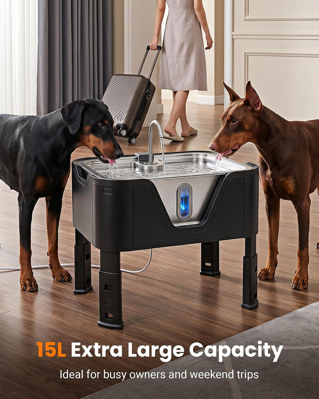 3.96Gal XL Large Dog Water Fountain Elevated Dog Water Bowl with 3 Filters