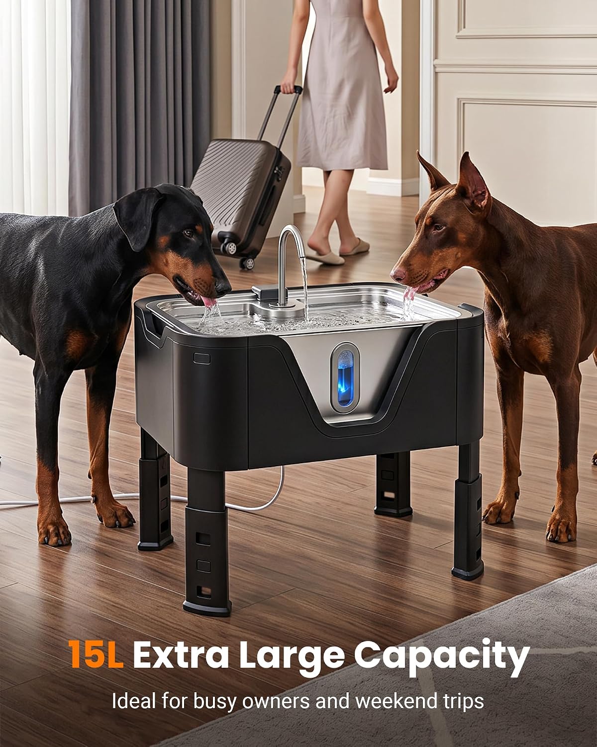 3.96Gal XL Large Dog Water Fountain Elevated Dog Water Bowl with 3 Filters