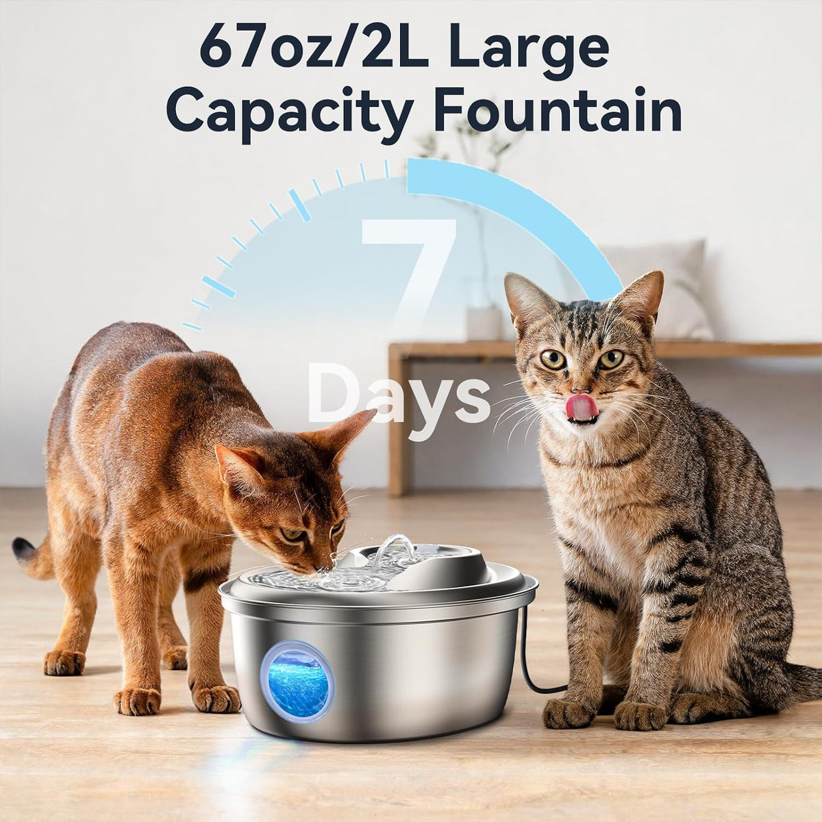 ORSDA Cat Water Fountain Stainless Steel 67oz/2L, Automatic Pet Drinking Fountain with Water Level Window, Dog Water Bowl for Cats and Small Dogs- 8 Filters +4 Pump Sponges (D36)