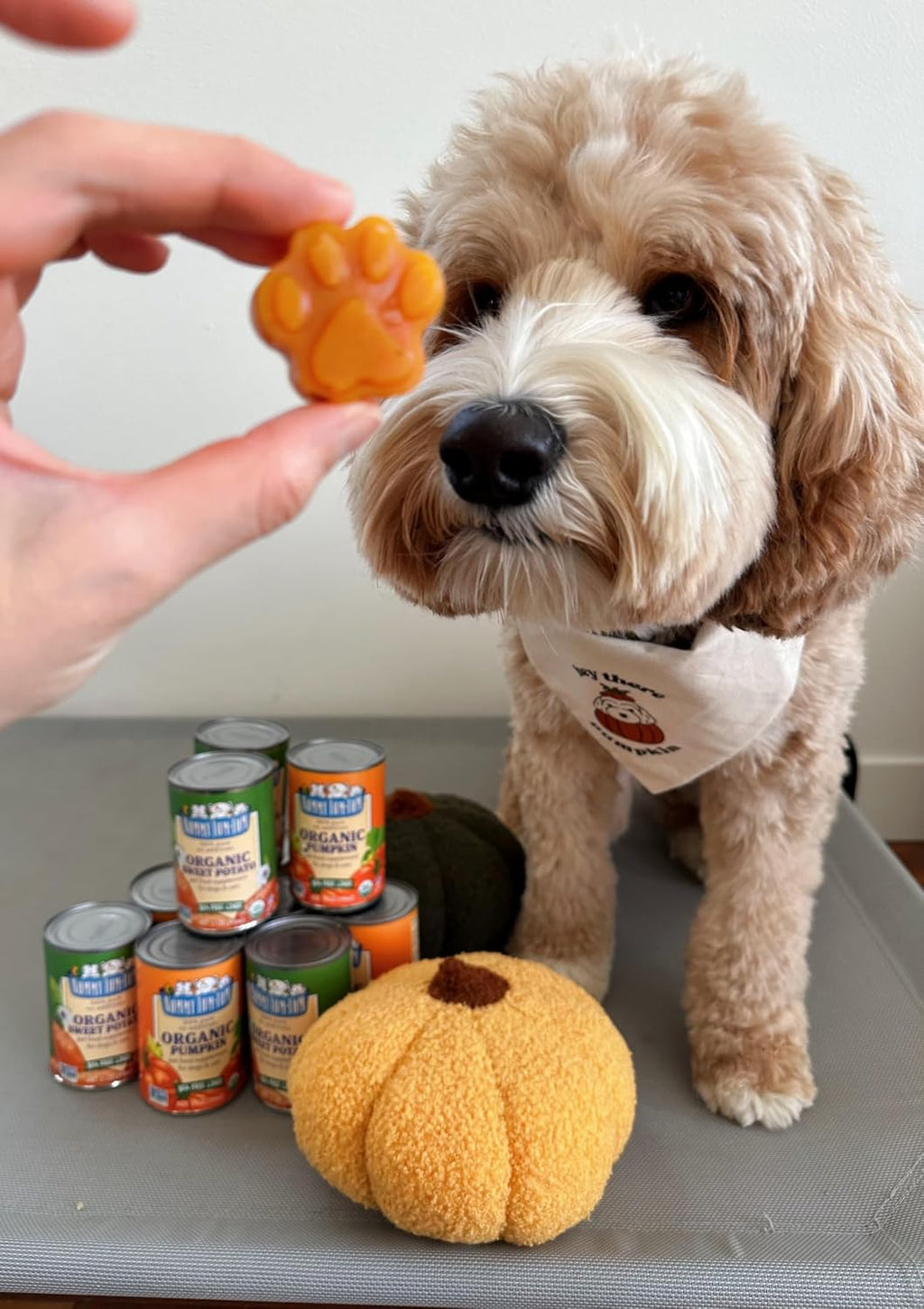 Nummy Tum Tum Organic Sweet Potato Puree For Pets, 15 Oz (Pack of 12)