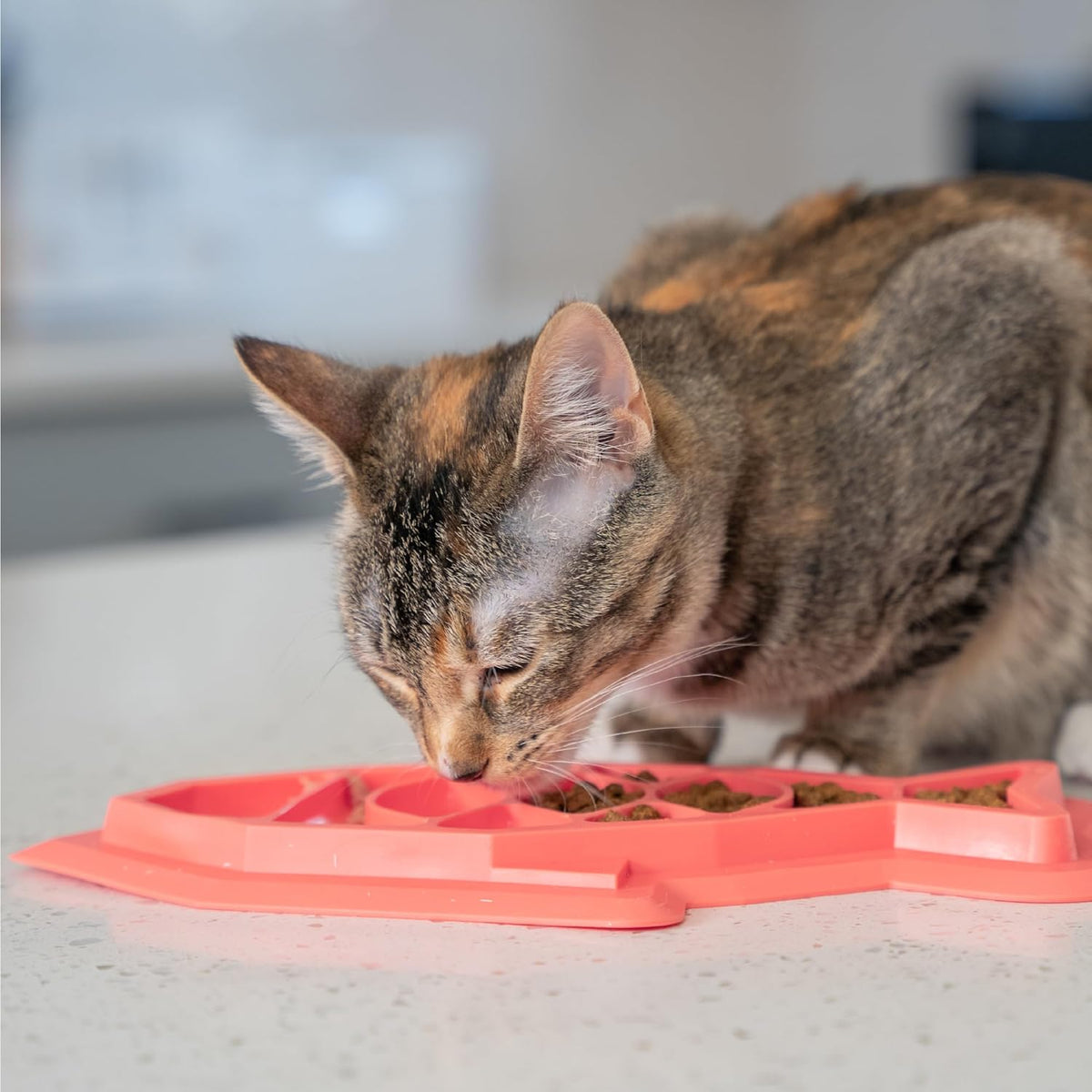 Catstages Fishie Fun Feed Mat – Non-Slip Slow Feeder Mat for Cats with Catnip, Crinkle Sounds & Engaging Play, ½ Cup Food Capacity, Pink