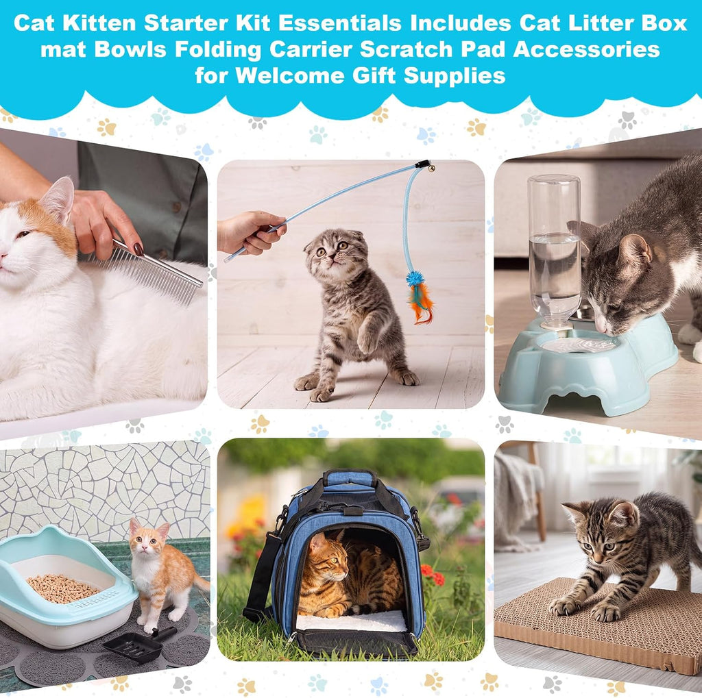 8 Pcs Kitten Supplies Starter Kit Cat Starter, Handbag, Blue