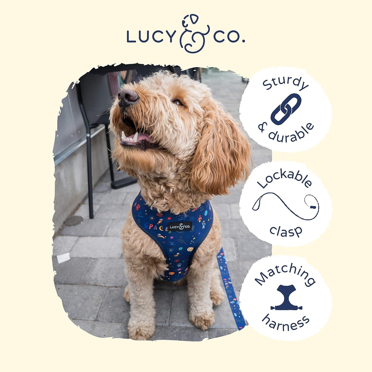 Lucy & Co. 5 Foot Designer Dog Leash - Space Doodle, Small