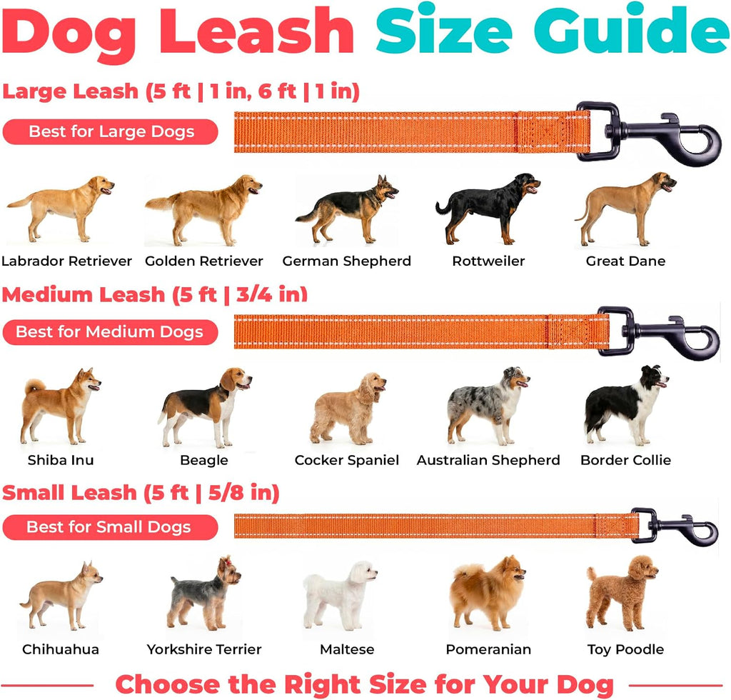 Best Pet Supplies Voyager Nylon Dog Leash - Orange, Medium