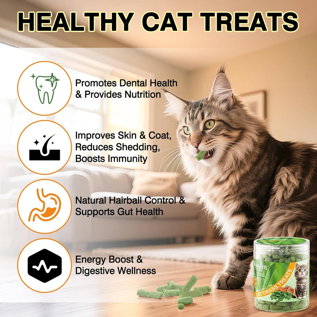 Freeze Dried Cat Grass Treats 100g - Natural Cat Grass Sticks with Chicken & Egg Yolk | Hairball Removal, Dental Care for Indoor Cats | Pet Training Snacks,Grain Free High Protein