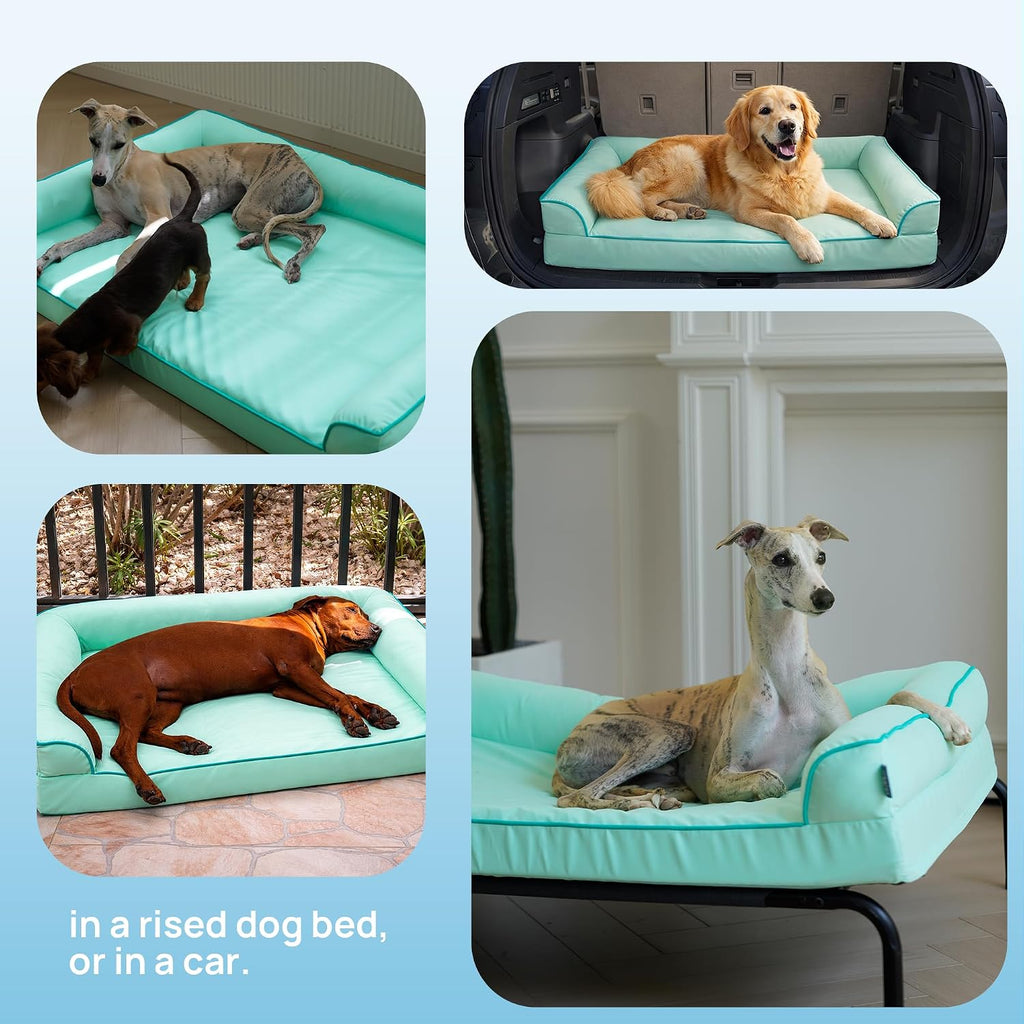 Cooling Dog Bed for Small,Medium Dogs & Cats with Bolsters,Q-Max>0.45 Orthopedic Pet Cool Sofa Beds with Breathable Egg Crate Foam,Removable Washable Cover, Light Aqua
