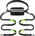 Hands Free Dog Leash 2 Dogs with Padded Handles and Zipper Pouch for Treats