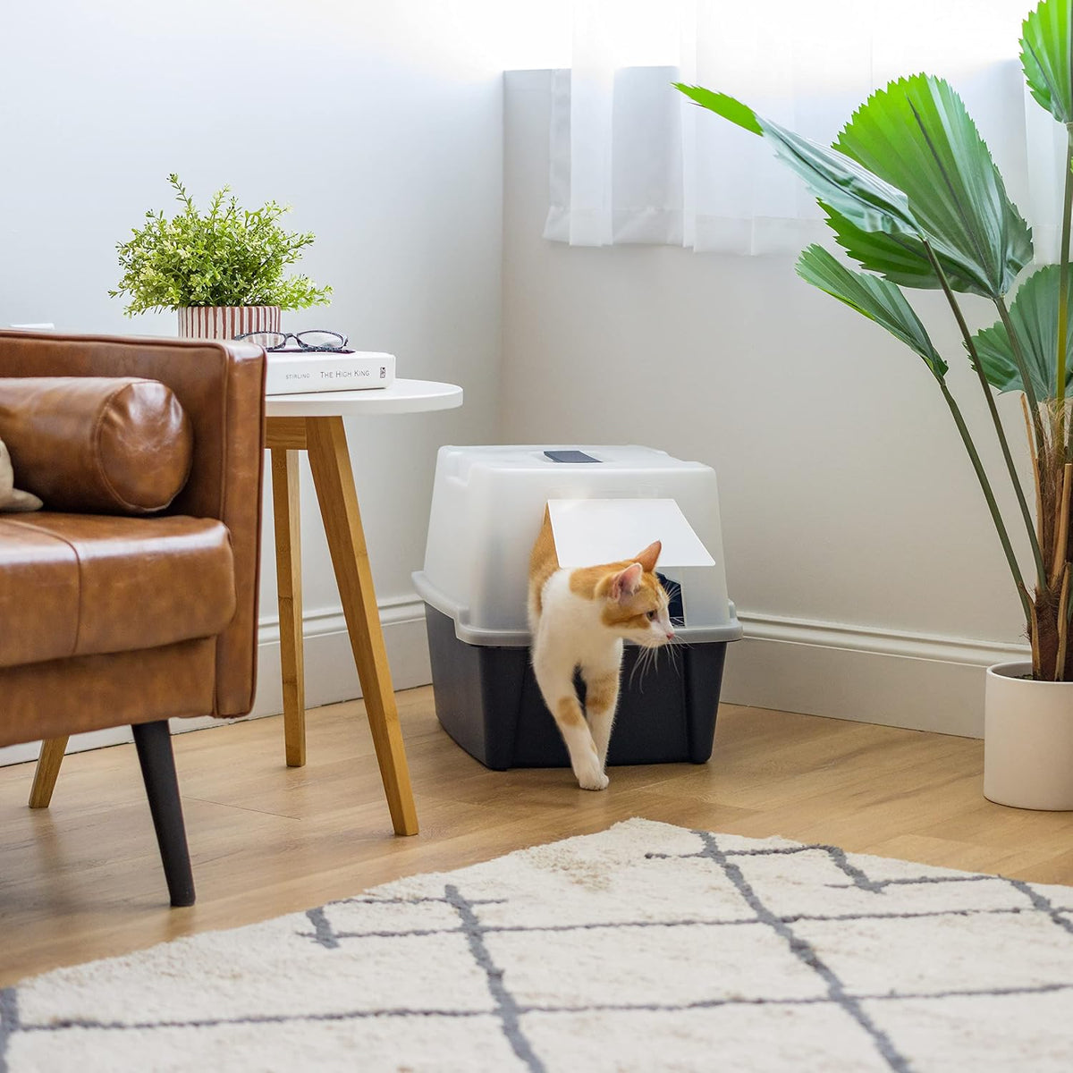 IRIS USA Large Front Door Cat Litter Box, Walk-in Entry, Navy