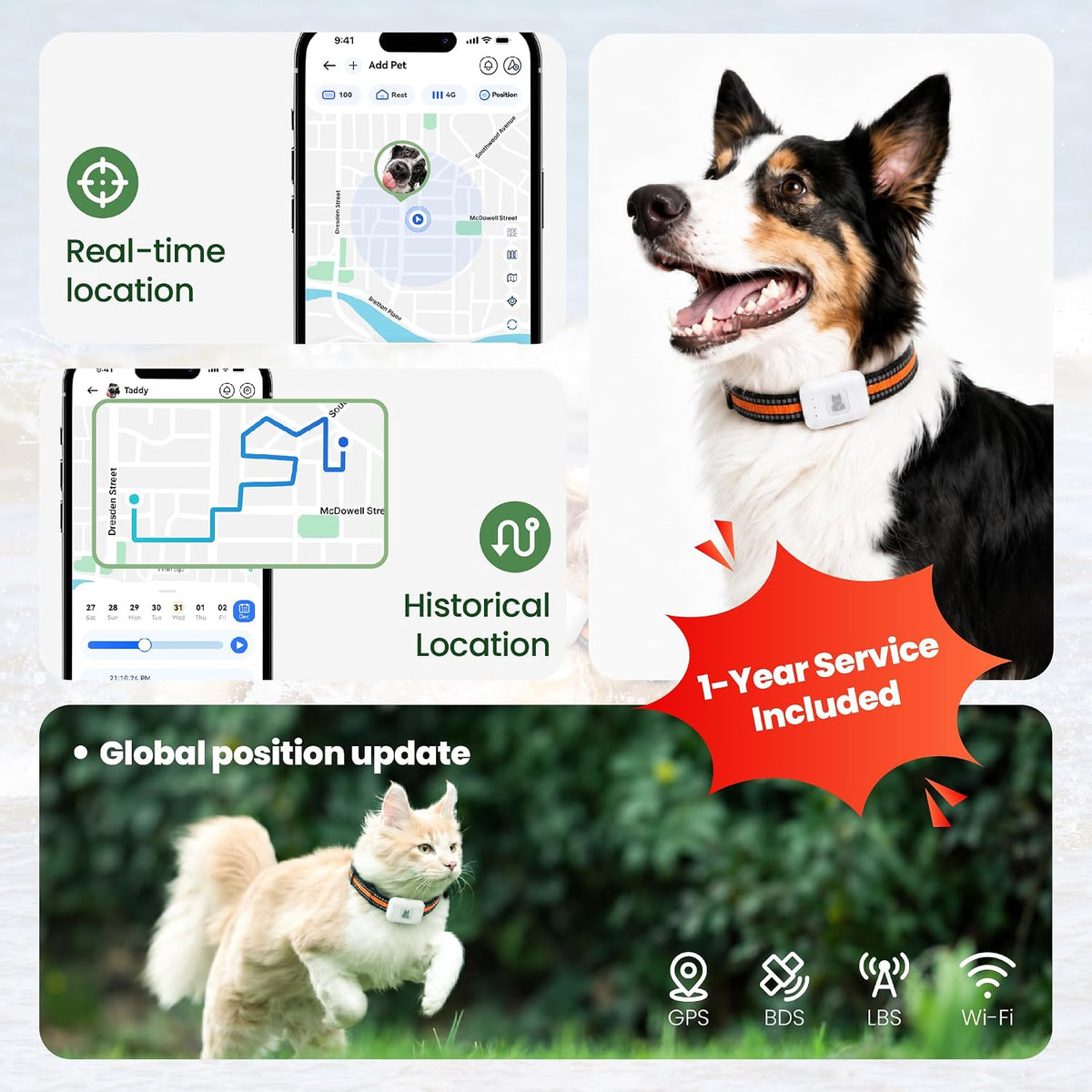 Dog Tracker GPS, Real Time Tracking & Virtual Fence 1-Year Service Included