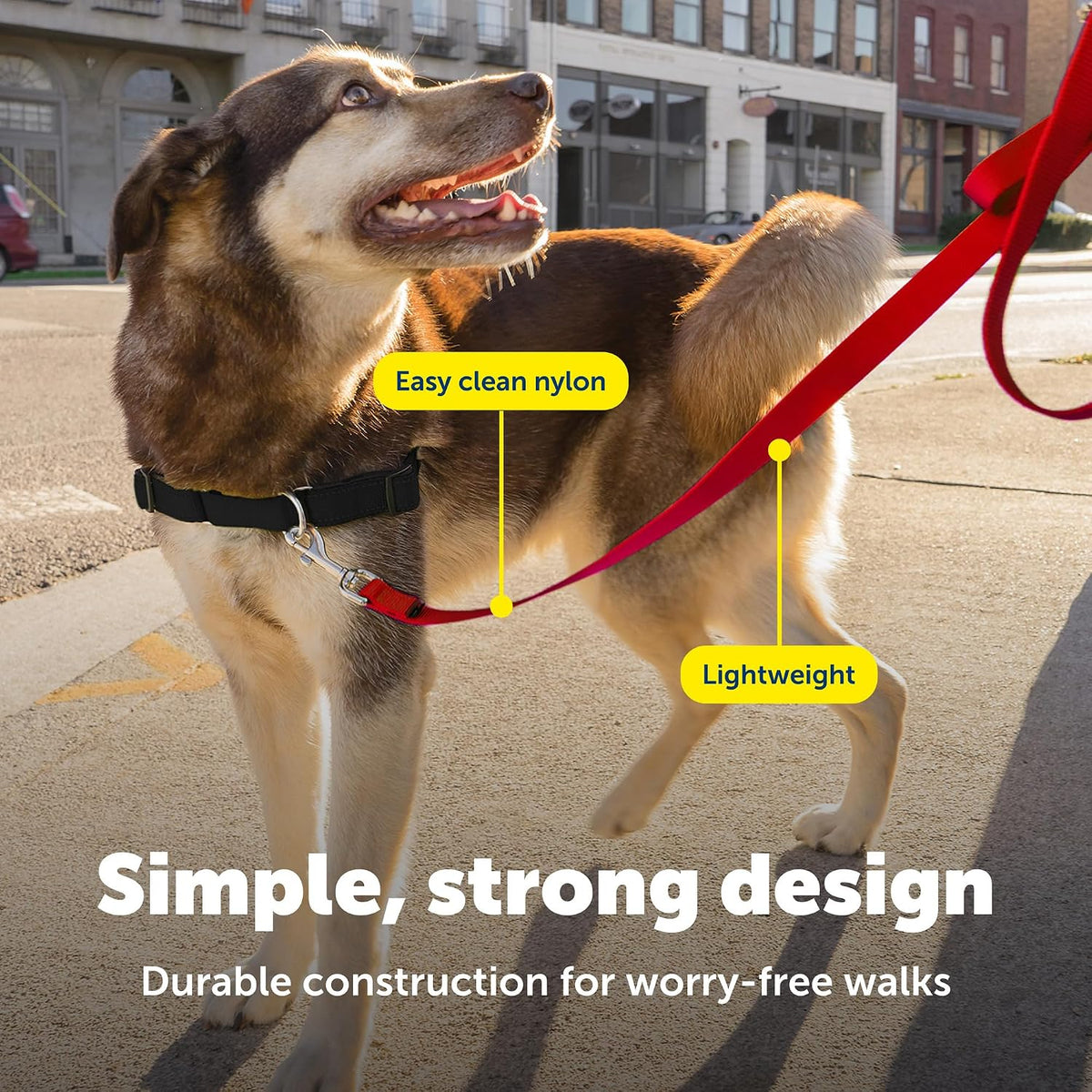 PetSafe Nylon Dog Leash - Strong, Durable, Traditional Style Leash with Easy to Use Bolt Snap - 1 in. x 4 ft., Red