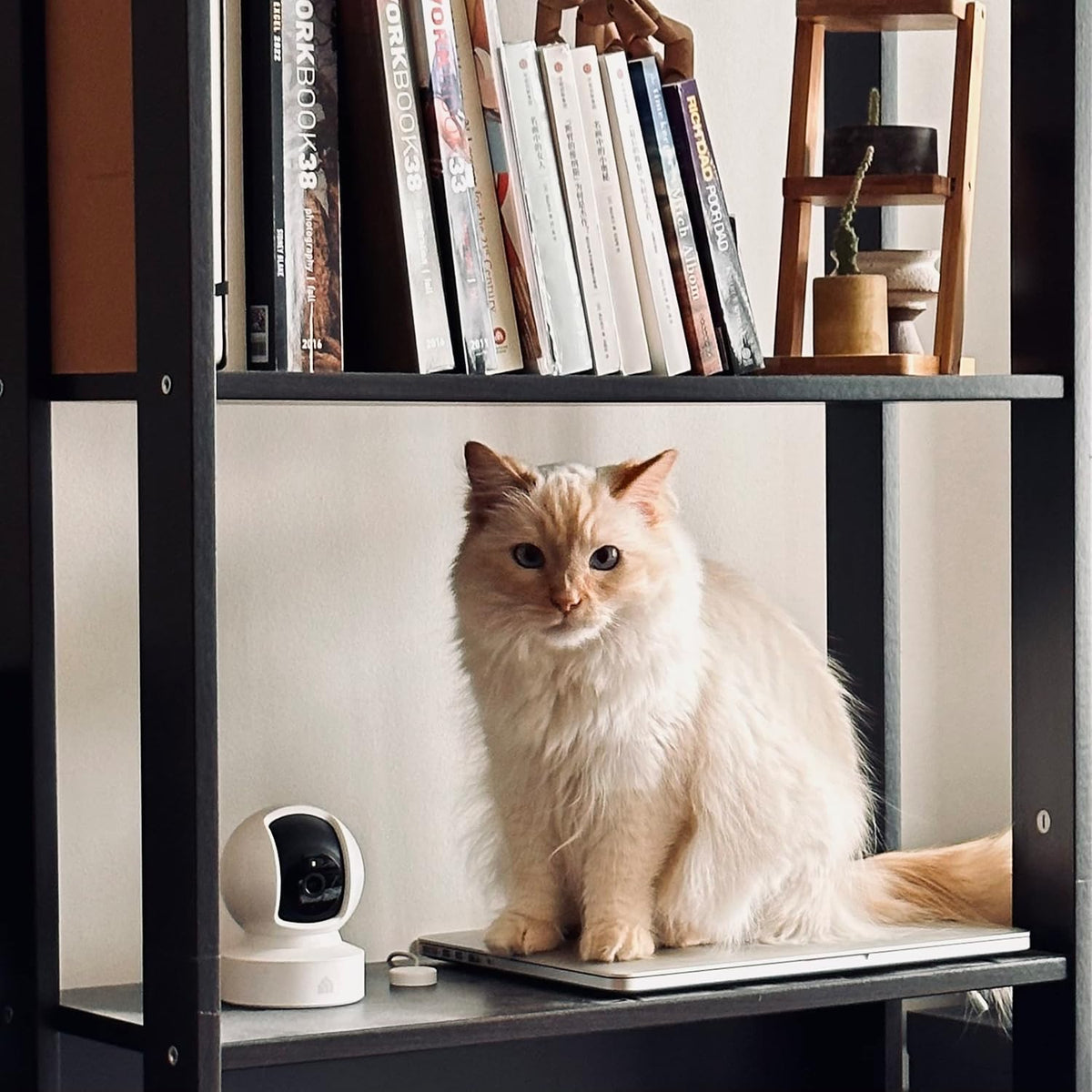 Kasa 1080p Indoor Pan/Tilt Wired Security Camera, Baby & Pet Monitor, EC70