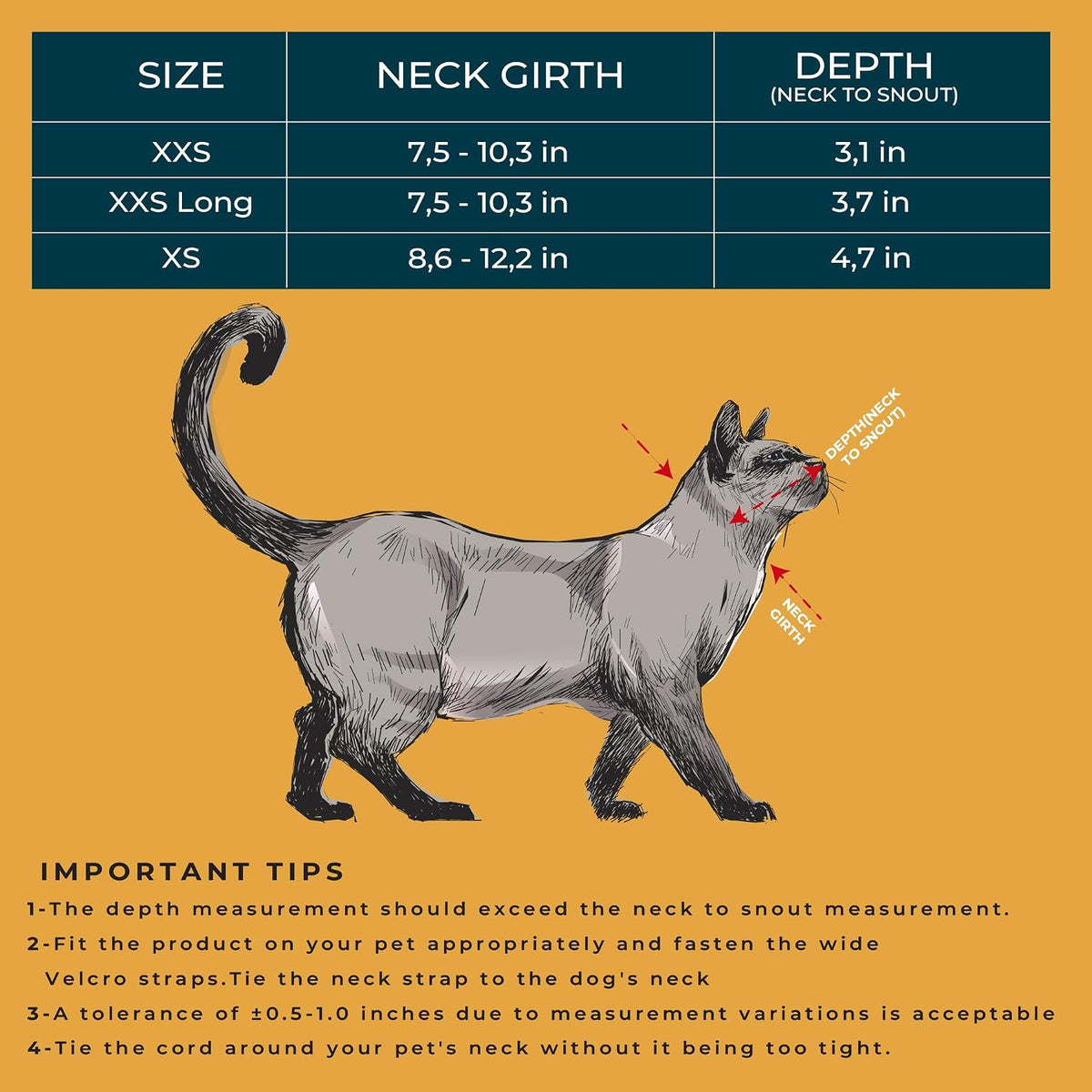 Cat Cone Collar - Soft Adjustable Cat Elizabethan Healing Collar – Lightweight Wound‑Protection Neck Cone for Licking/Biting Prevention, Fits Neck 6.5″–10.5″, Ideal Post‑Surgery & Injury Care