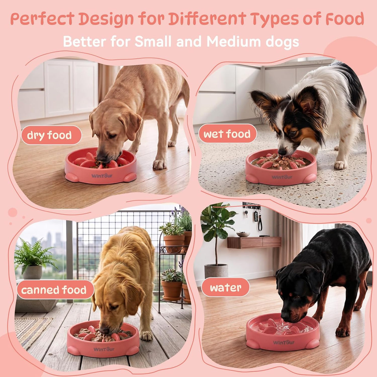WinTour Slow Feeder Dog Bowls for Small Medium Pets, Round PP Dish, 1 Pack