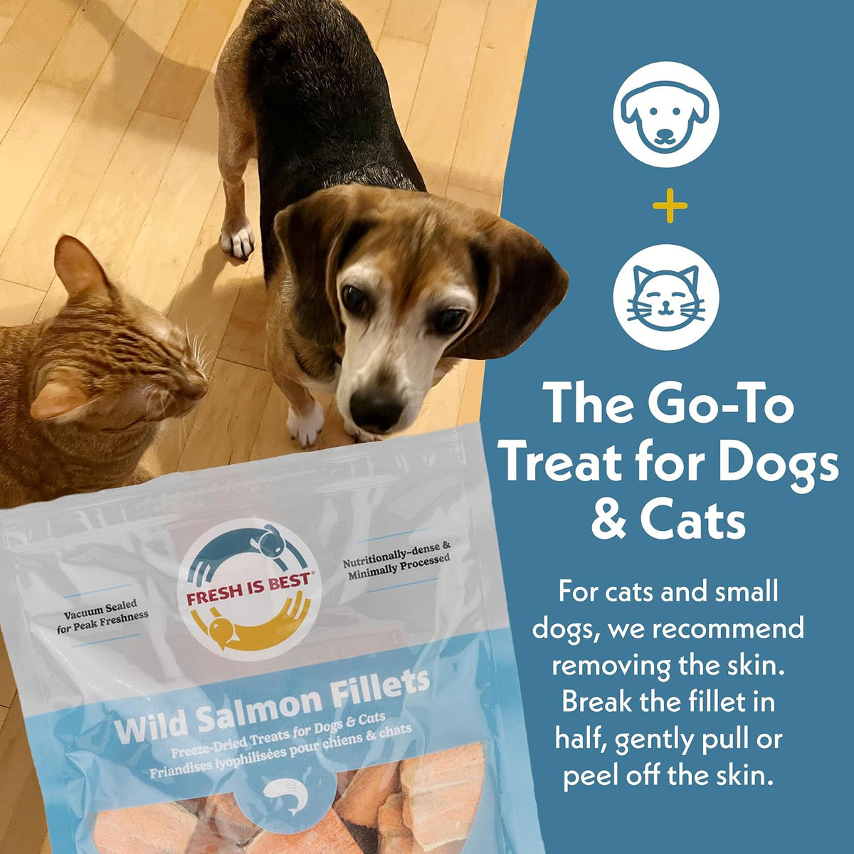 Fresh Is Best Salmon Fillets Freeze Dried Dog Treats for Cats & Dogs