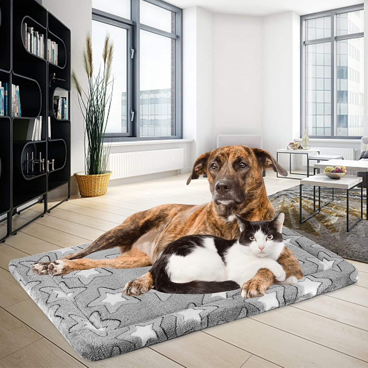 EMPSIGN Dog Crate Pad for 54"x37" Dog Crate, Star Pattern/Grey