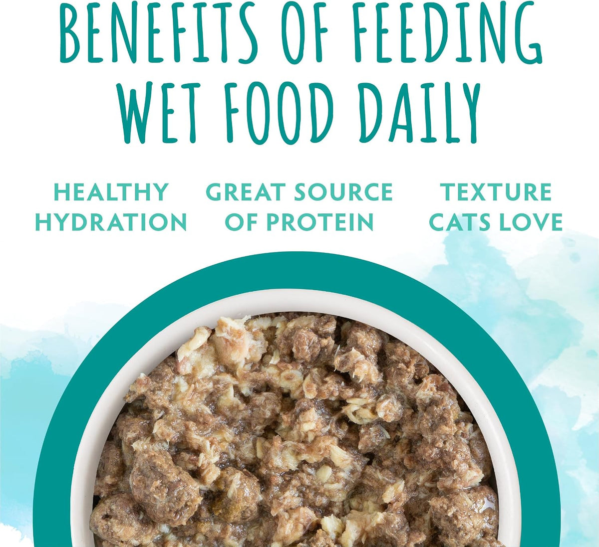 Soulistic Originals Wet Cat Food, Seaside Serenity Salmon and Tuna Dinner in Gravy, 3oz Can, Pack of 12