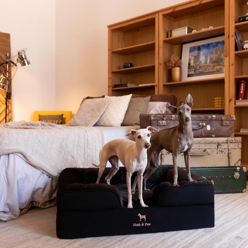 NOAH & PAW Dog Bed, Orthopedic Memory Cooling Foam (2X Base) 35x25x11in