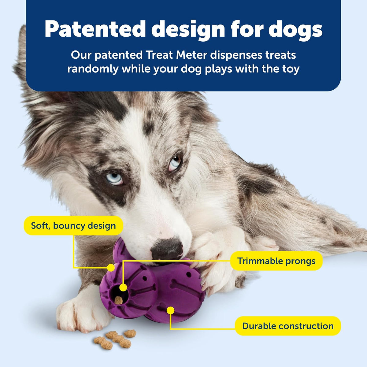 PetSafe Busy Buddy Barnacle Treat Dispensing Dog Toy, Medium