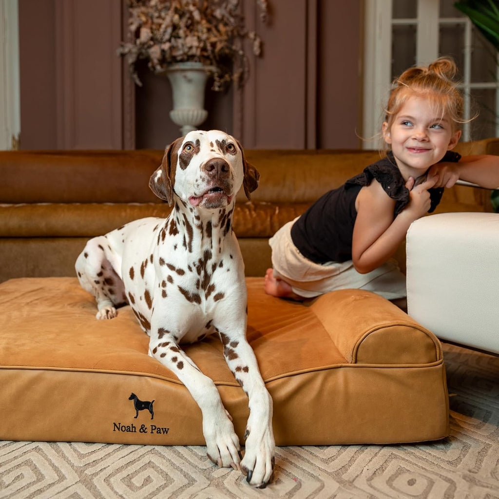 NOAH & PAW XL Dog Bed Orthopedic Memory Foam Cooling Gel 45x35x9.1 in