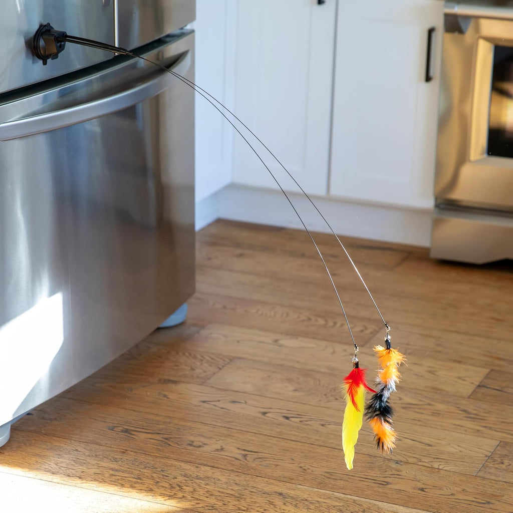 Cat Toys For Indoor Cats: Interactive Cat Toy Wand, 9 Feathers Wand Lures