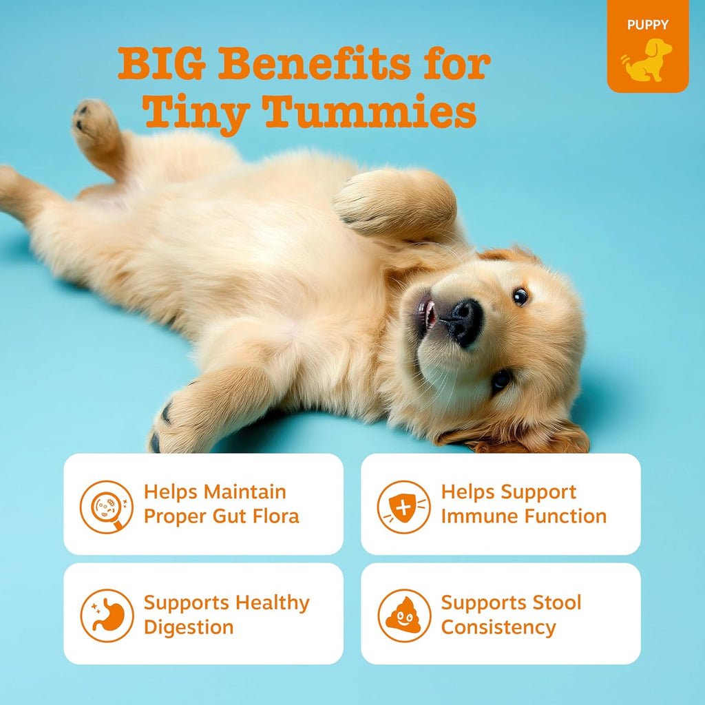 Zesty Paws Puppy Probiotics Bites - Gut Health for Dogs, Pumpkin, 90 Ct