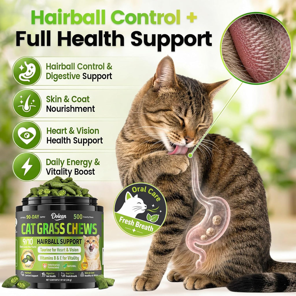 Cat Grass Treats, Hairball Treatment for Cats, for Indoor Cats, 500 Chews