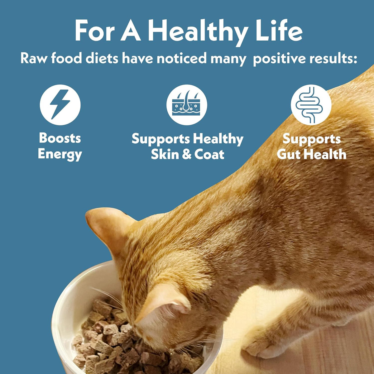 Fresh Is Best Pork Freeze Dried Cat Food – High-Protein Freeze Dried Pork