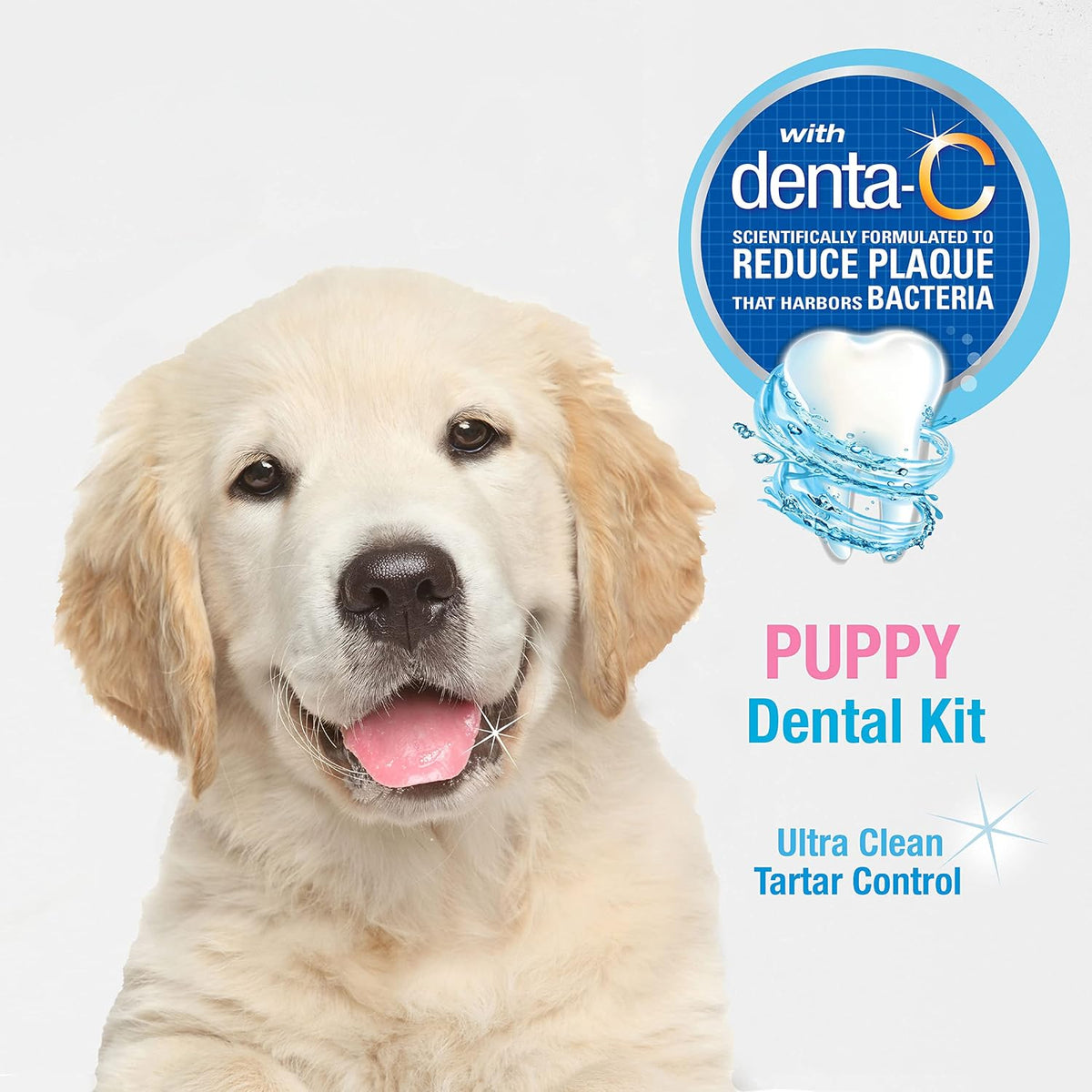 Nylabone Advanced Oral Care Puppy Dental Kit Puppy Original 3 Count 