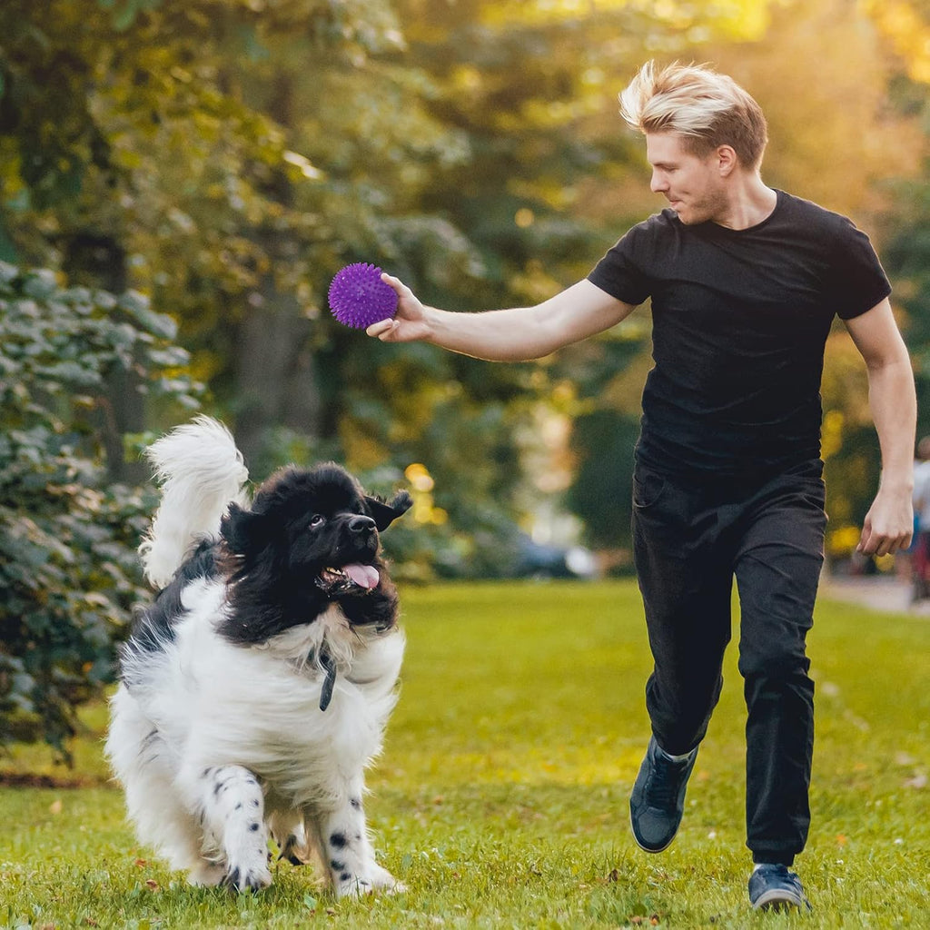 VITEVER 3 Colors 4.5” Heavy Duty Squeaky Dog Toy Balls for Medium Large Dogs, Dog Chew Toys for Teething, Spiky Balls for Aggressive Chewers, Durable Toys for Teeth Cleaning and Training