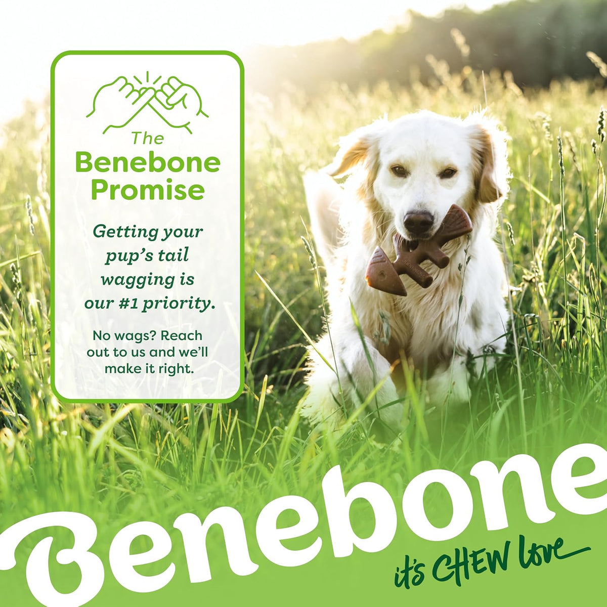 Benebone Large Dog Toys for Aggressive Chewers – Under 90 lbs, 4 Count, Large (Pack of 8)