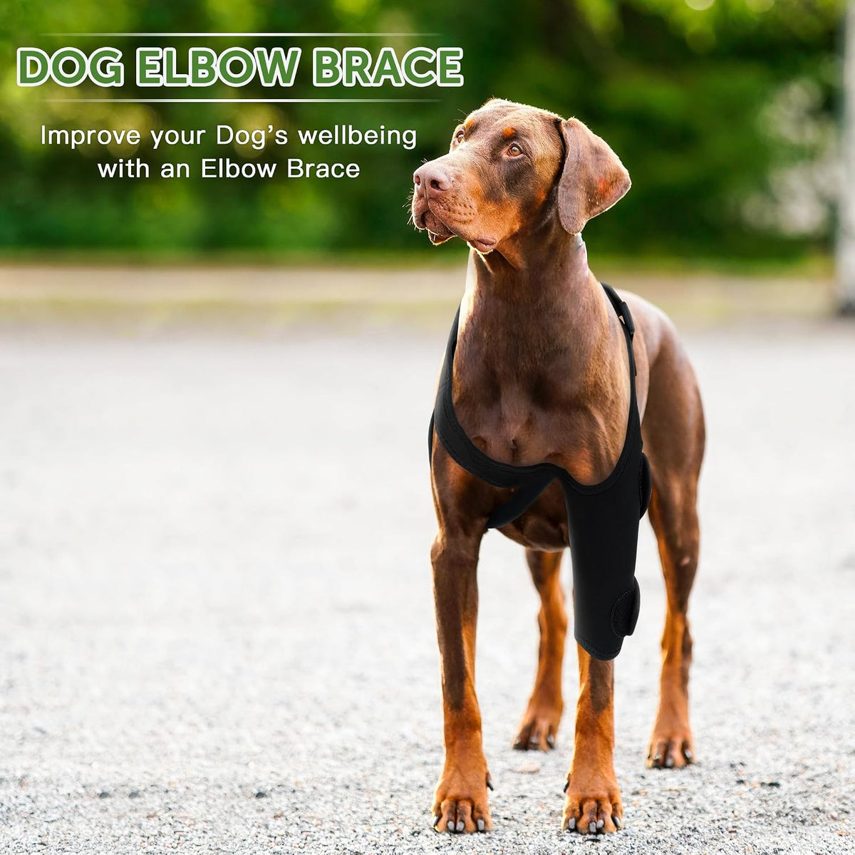Dog Elbow Brace for Pets Elbow Dysplasia, Shoulder Dislocation - Offers Elbow Support, Helps Wound Healing, Prevents Licking and Biting, Dog Recovery Suit Taper Collar Alternative (M, Left Leg)