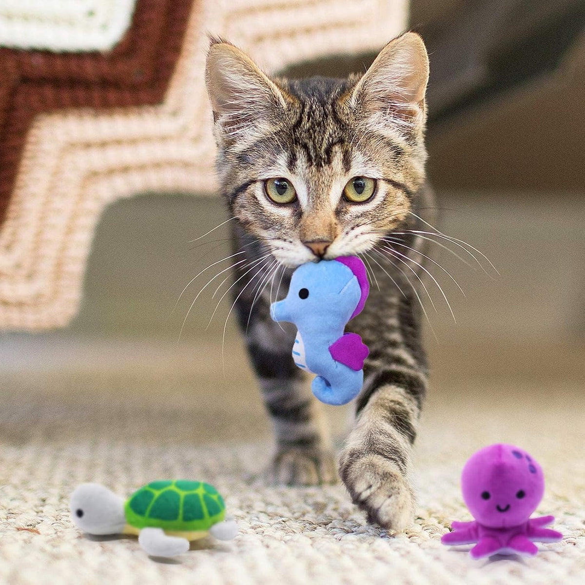 CiyvoLyeen Plush Sea Animal Catnip Toys for Indoor Cats 6 Pack