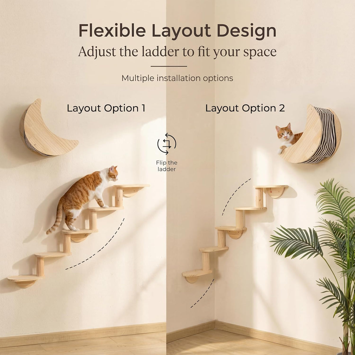 Cat Wall Shelves, Solid Wood Moon Bed, 5-Step Stairs for Vertical Climbing