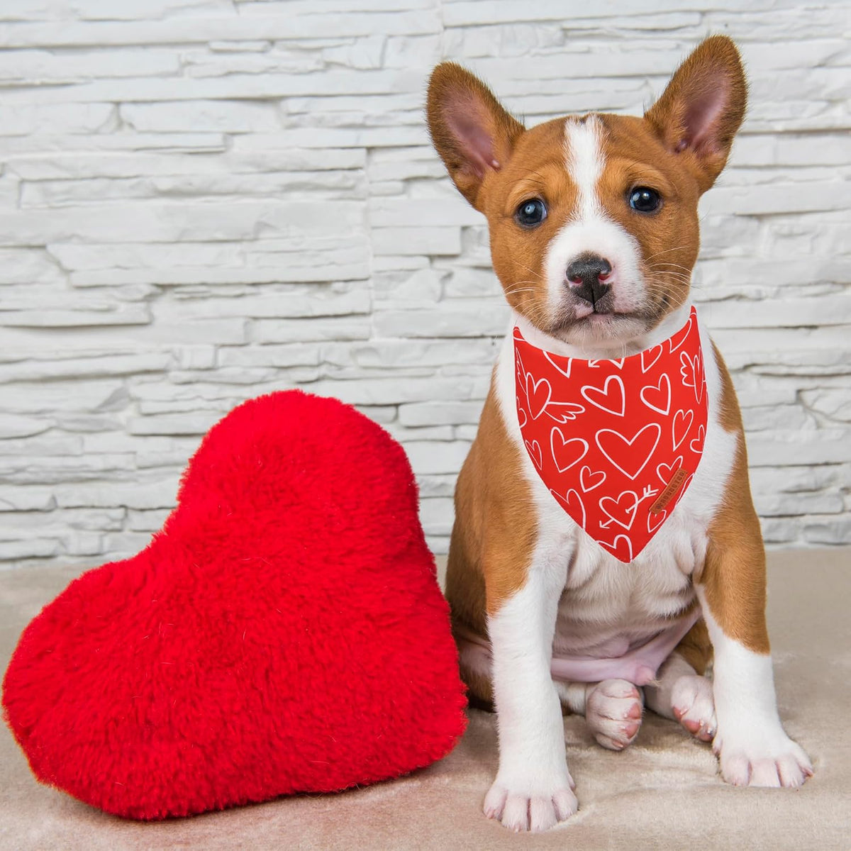 ADOGGYGO Valentine Dog Bandanas, Red Pink Heart Pet Scarf, Multi Size Offered, White Red Valentine Bandana for Small Dogs (Small)