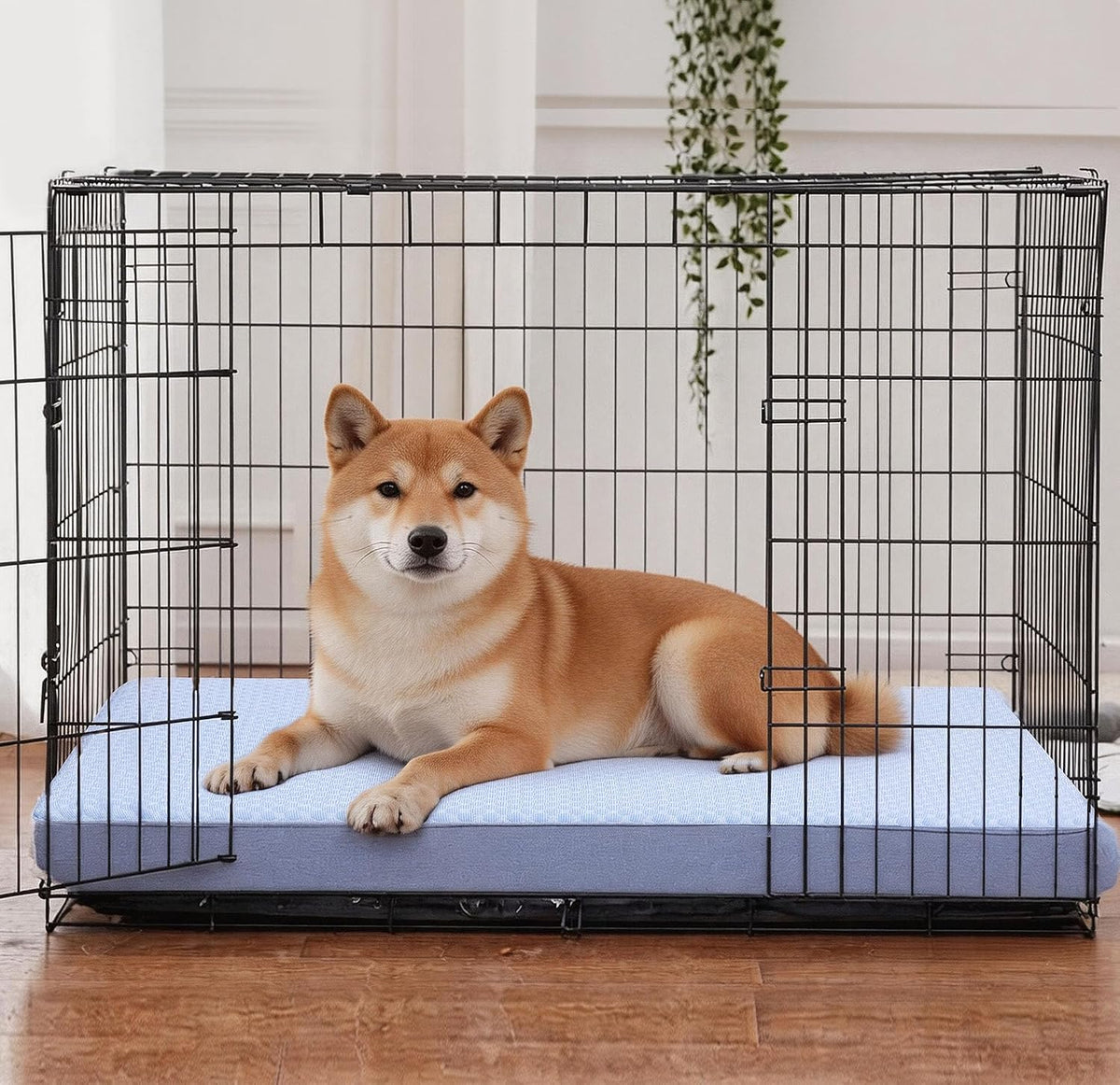 Cooling Dog Bed for Large Dogs, Washable Memory Foam Dog Beds for Crate with Joint Relief, Waterproof Liner and Removable Cover (35’’x 22’’)