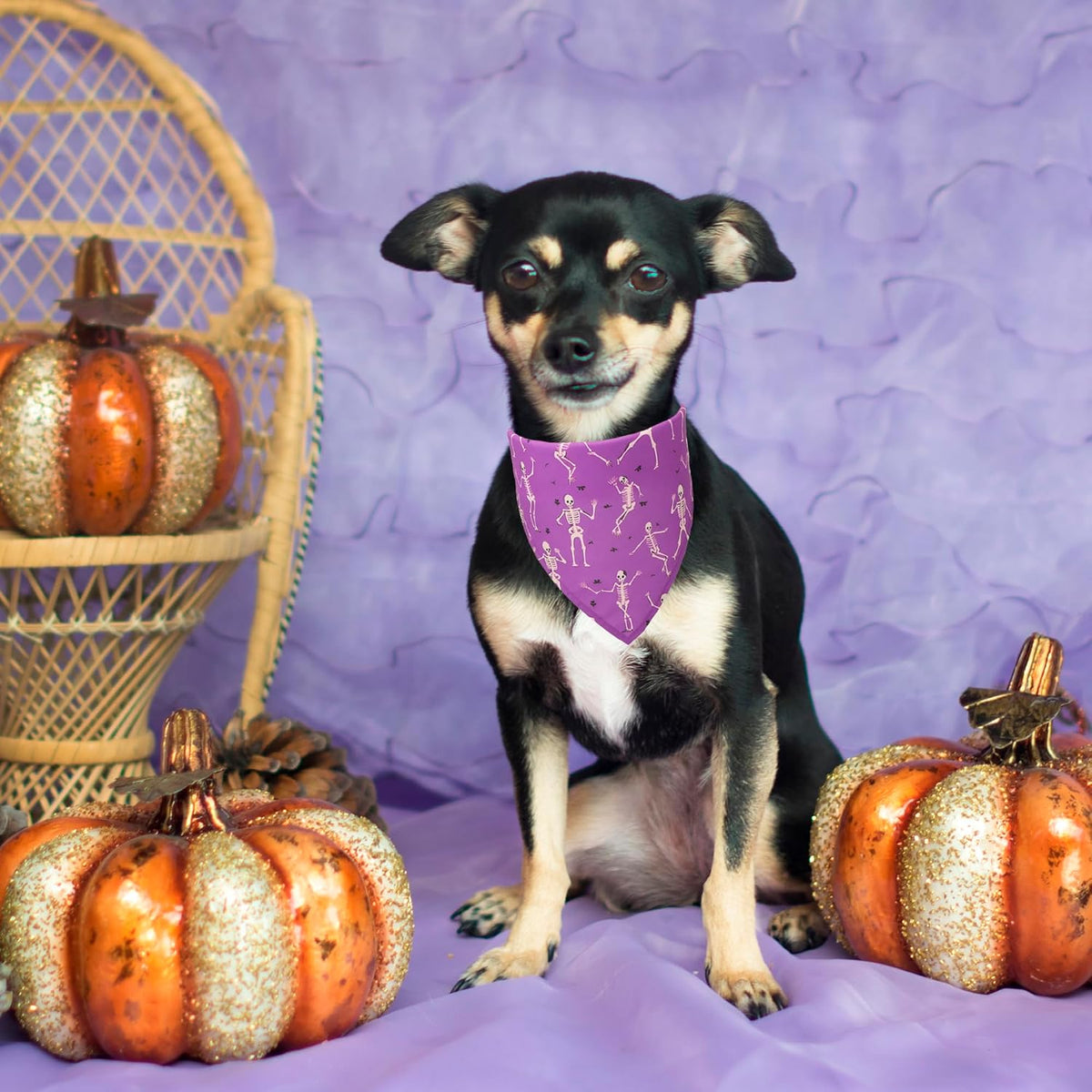 ADOGGYGO Halloween Dog Bandanas, 4 Pack Skeleton Ghost Pumpkin Bandana, S