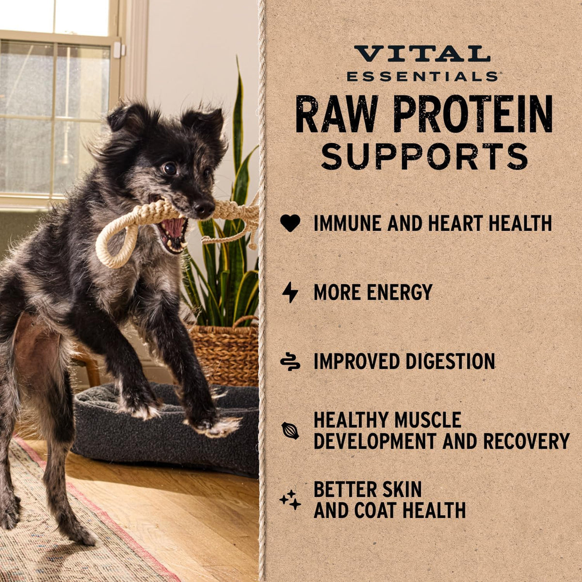 Vital Essentials Freeze Dried Dog Food, Beef Patties, 30 oz Bag