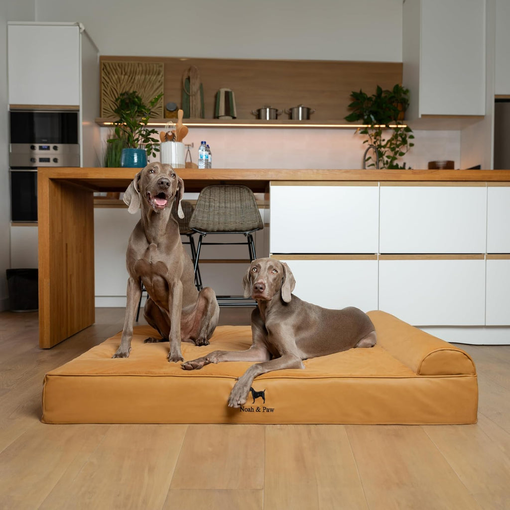 NOAH & PAW XL Dog Bed Orthopedic Memory Foam Cooling Gel 45x35x9.1 in