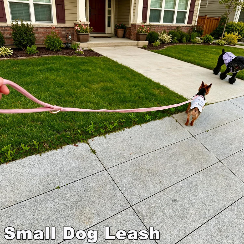 Cotton Dog Leash for Small Dogs- 4ft 6ft Puppy Walking Training Lead
