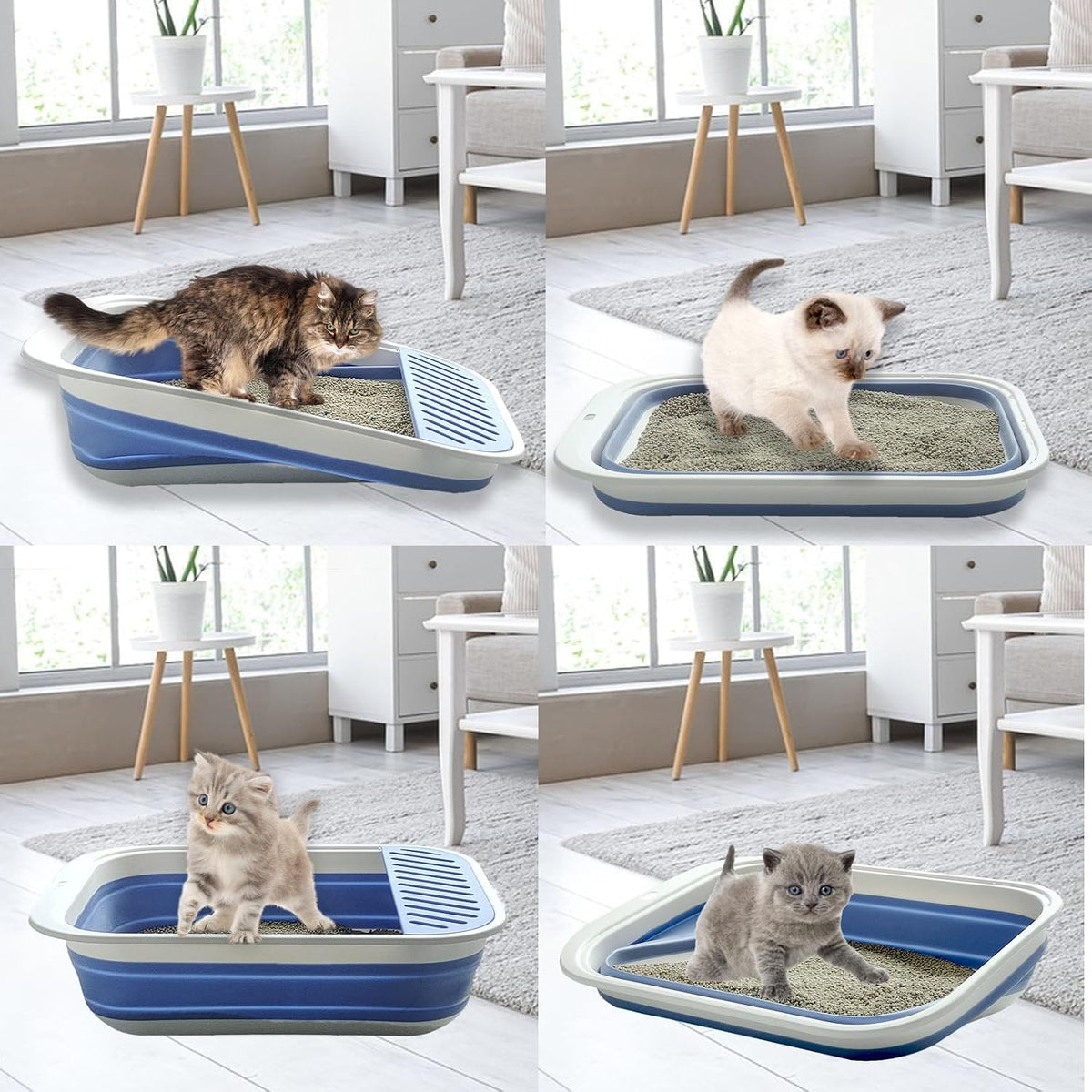 Low Entry Kitten Litter Box Collapsible Shallow Litter Box