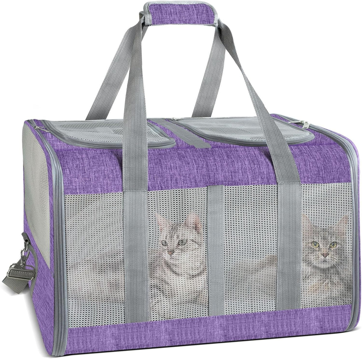 Soft-Sided Cat Carrier for 2 Cats, Gray, Breathable Mesh Design, Airline Approved Travel Bag for Small to Large Cats, Expandable with Shoulder Strap (Purple)