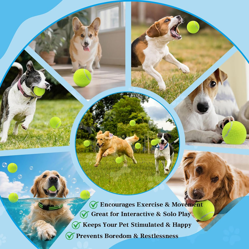 Magicorange Tennis Balls for Dogs,Colorful Easy Catching Dog Balls,4 Pack | Bright Yellow Dog Playing Balls, Easy to Spot And Fetch, Tennis-Style Pet Toy, with Mesh Bag for Training and Outdoor Fun