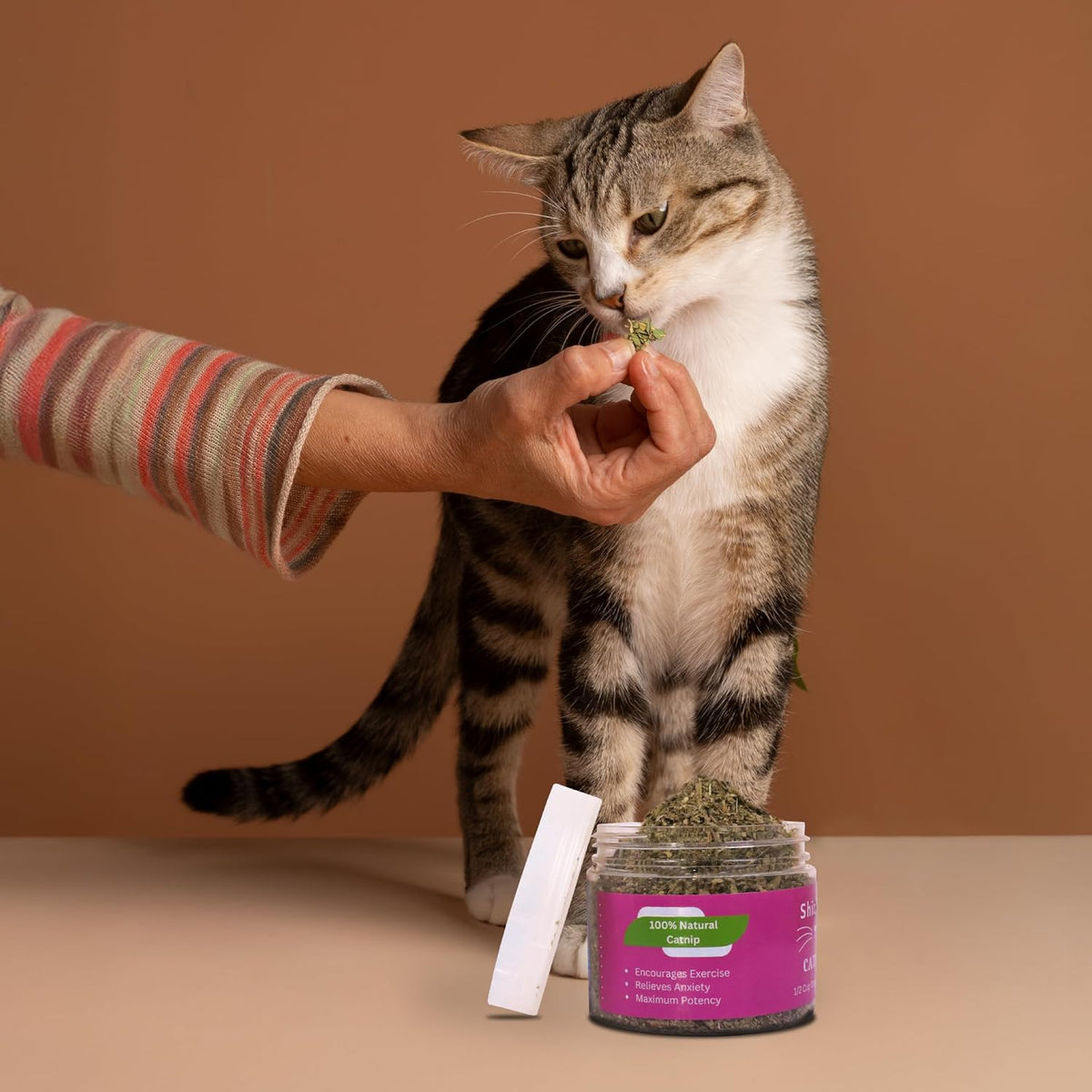 Catnip for Cats with Leaves and Flower Seeds 100% Natural and Organic Catnip Premium Cat Nip for Cats & Kittens Used as a Snack or Refillable Catnip Treats for Cats (1/2 Cup)