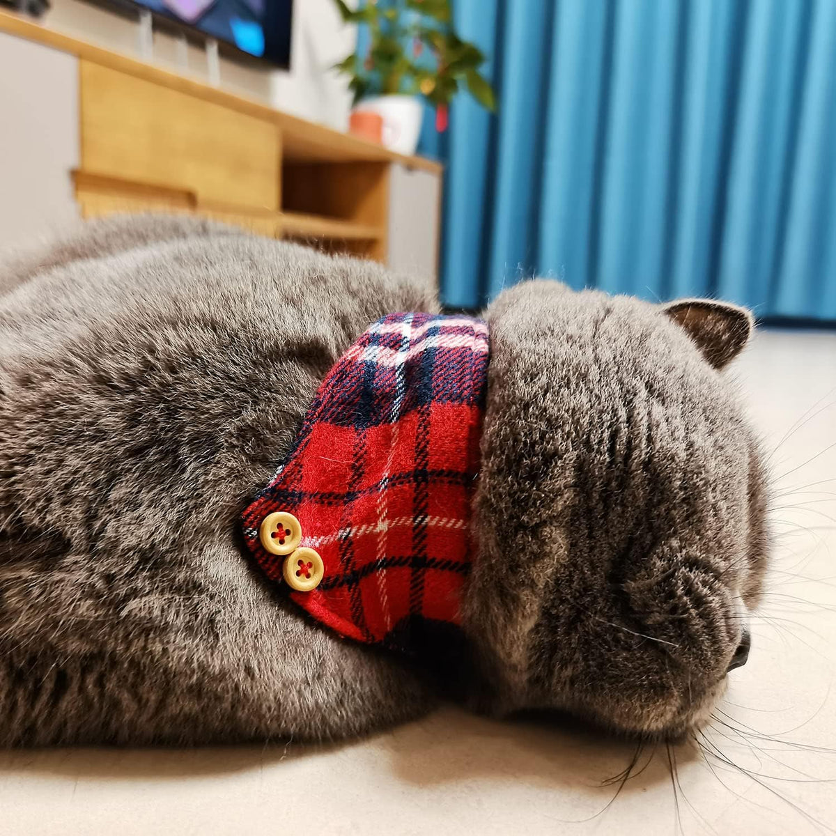 3PCS Bow Tie Dog Collar and Leash Set Plaid/Camo/Dots/Flower Dog Bandanas with Bell 3 Size Adjustable for Small Dogs Puppies and Cats (XS, Red Plaid 3)