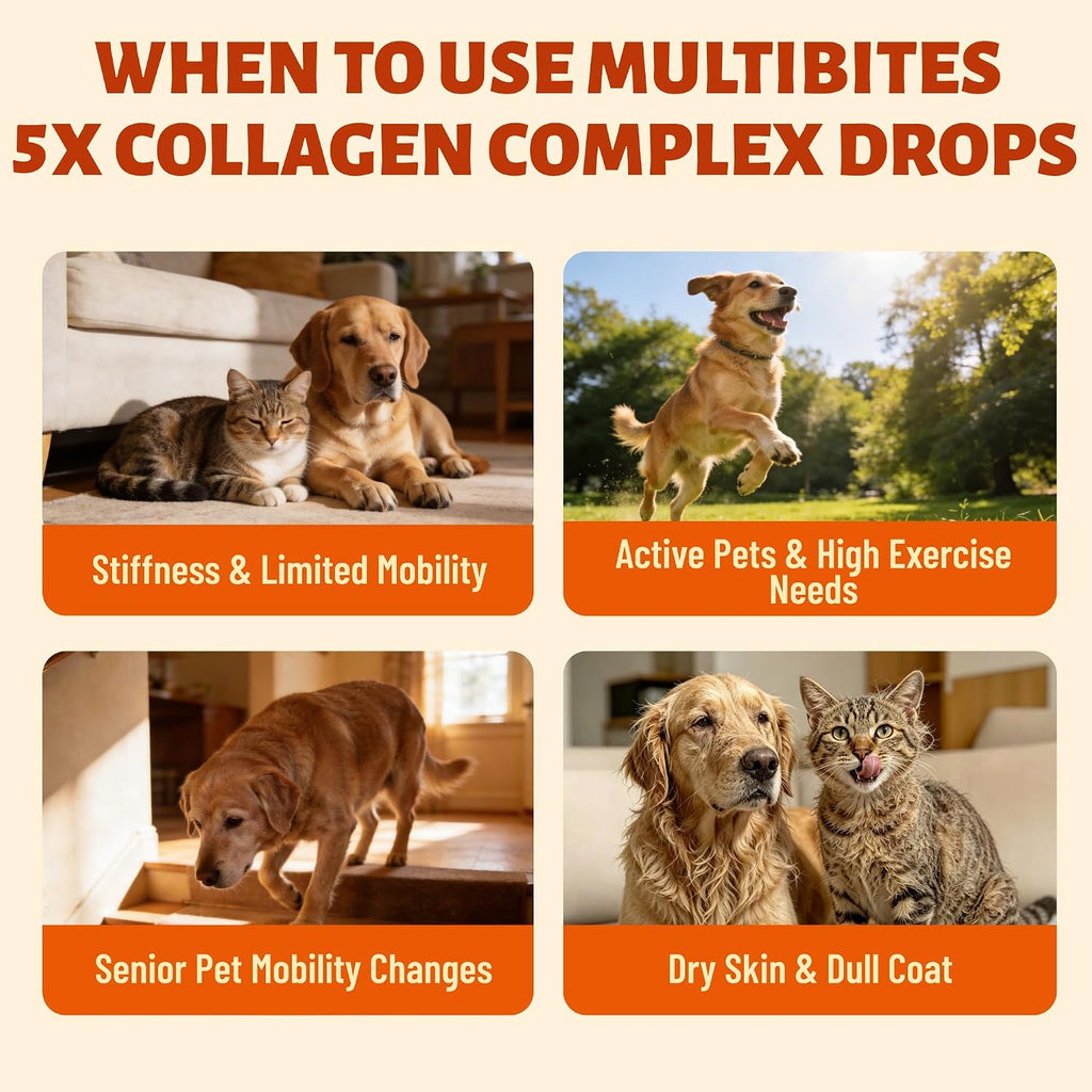 5-Type Liquid Collagen for Dogs & Cats, Chicken Flavor, 2 oz