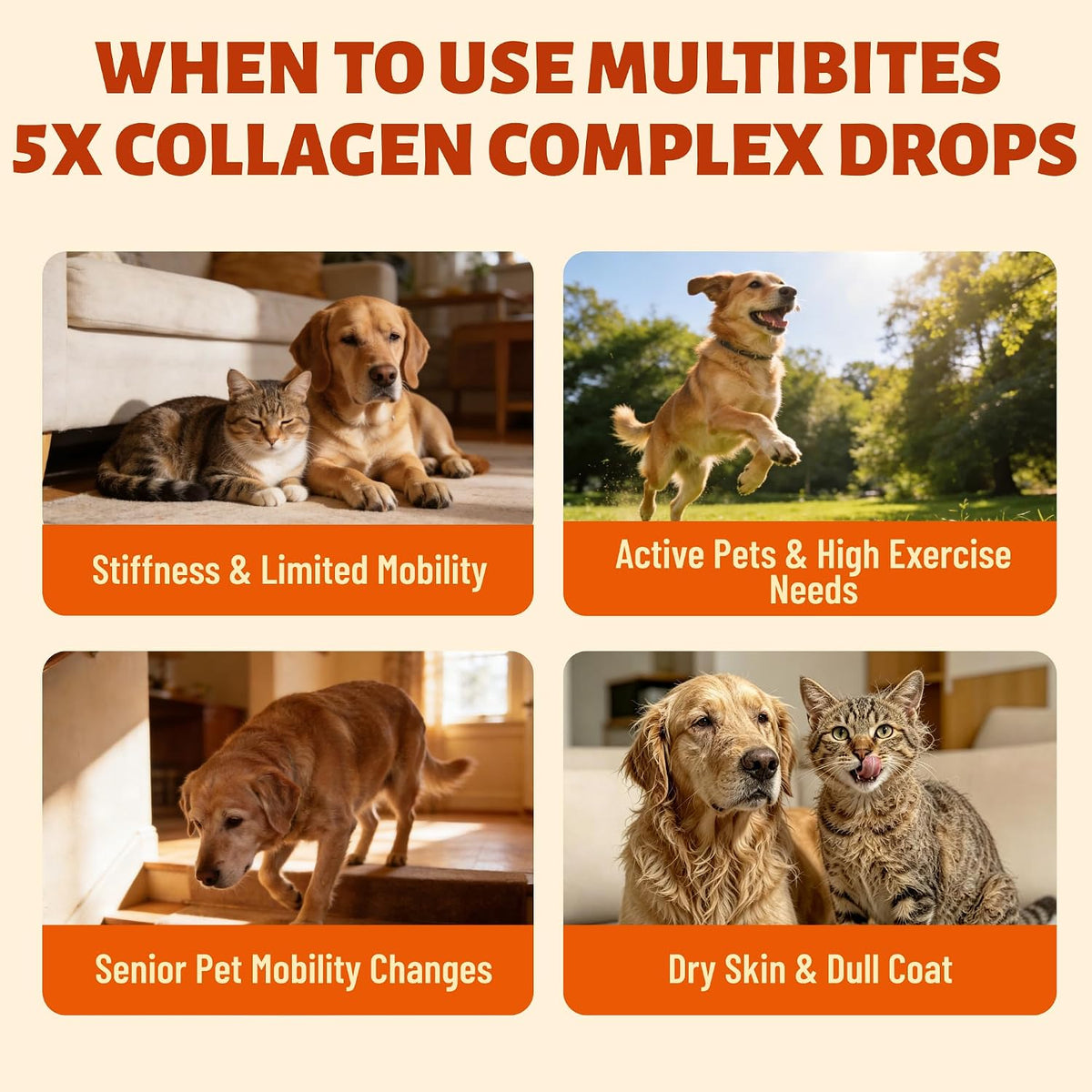 5-Type Liquid Collagen for Dogs & Cats, Chicken Flavor, 2 oz