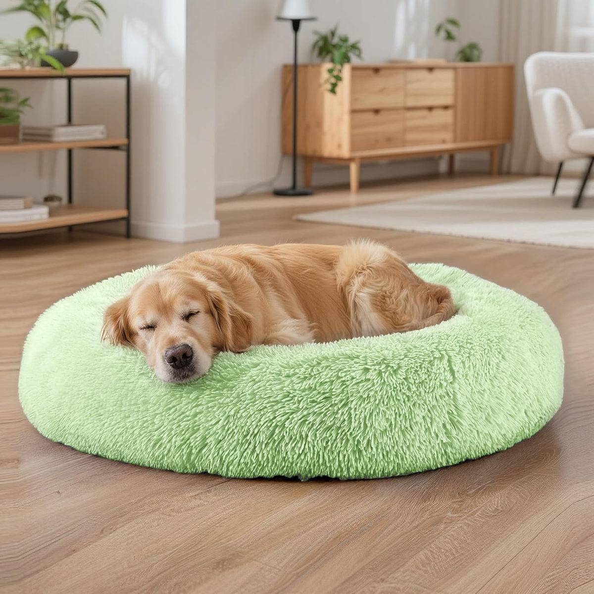 Dog Beds Large Sized Dog and Cats, 32in Pet Beds for Large Pet (Green)