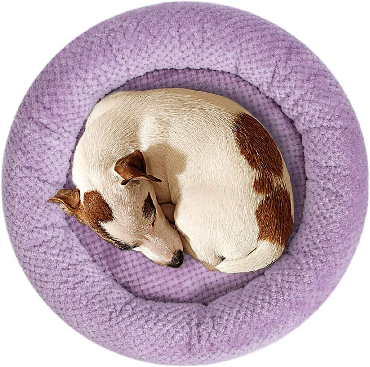 WONDER MIRACLE Fuzzy Deluxe Pet Beds, Super Plush Dog or Cat Beds Ideal for Dog Crates, Machine Wash & Dryer Friendly (24" x 24", Lavender)
